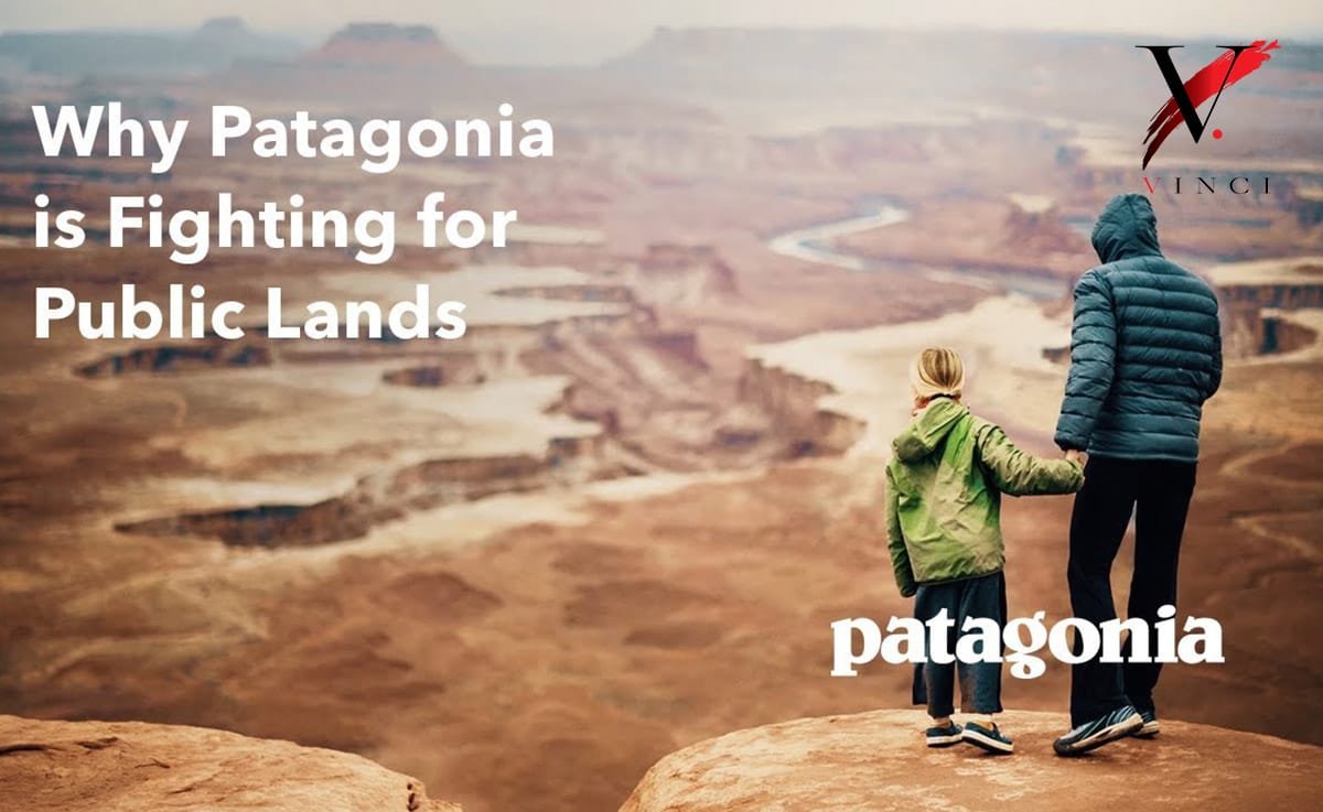 Patagonia Business Branding